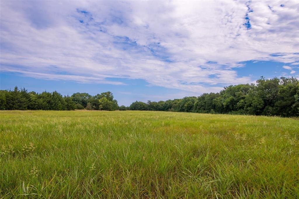 30 acres in Fannin County gallery image 3