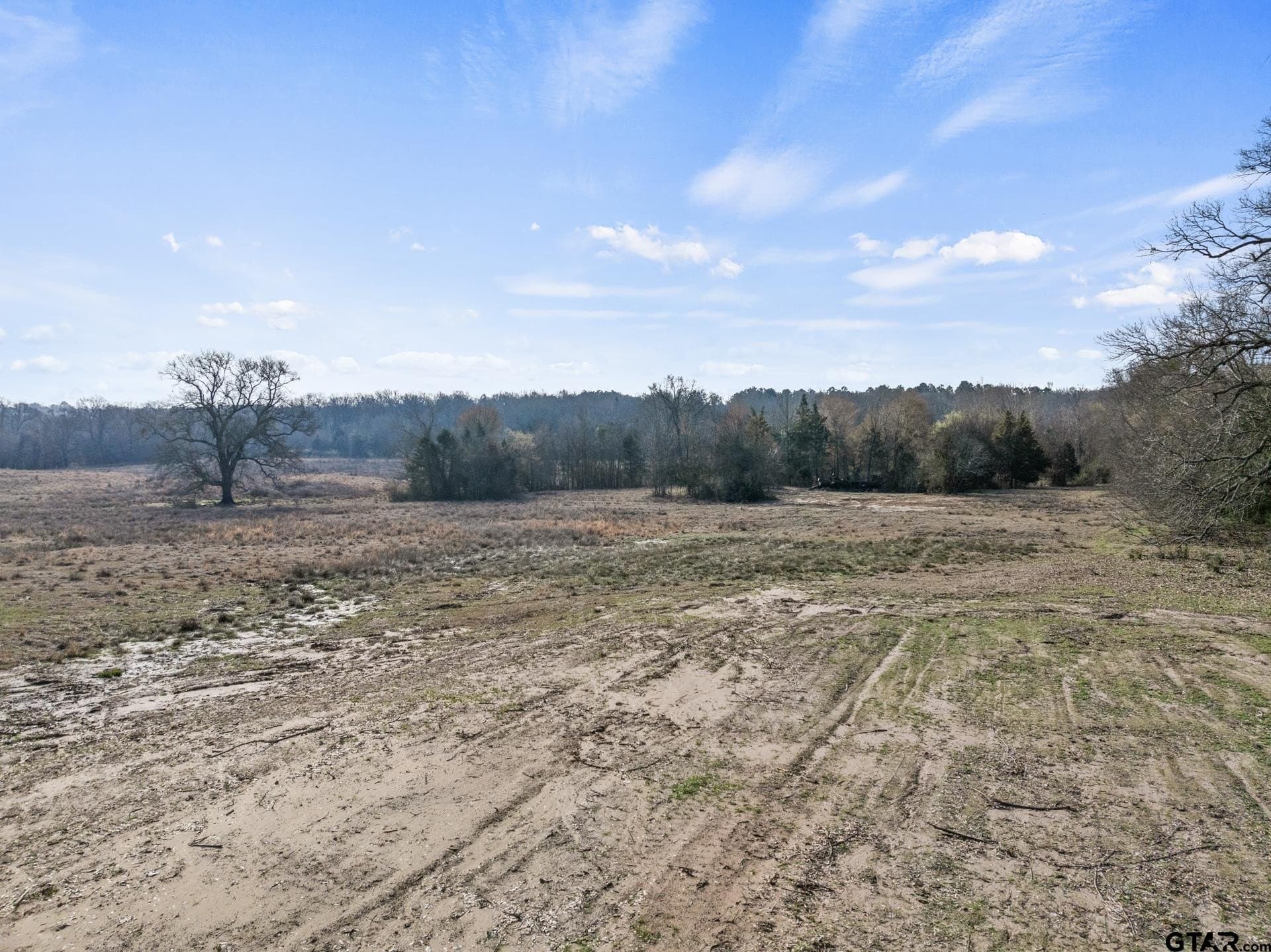 50 acres in Morris County - photo 34