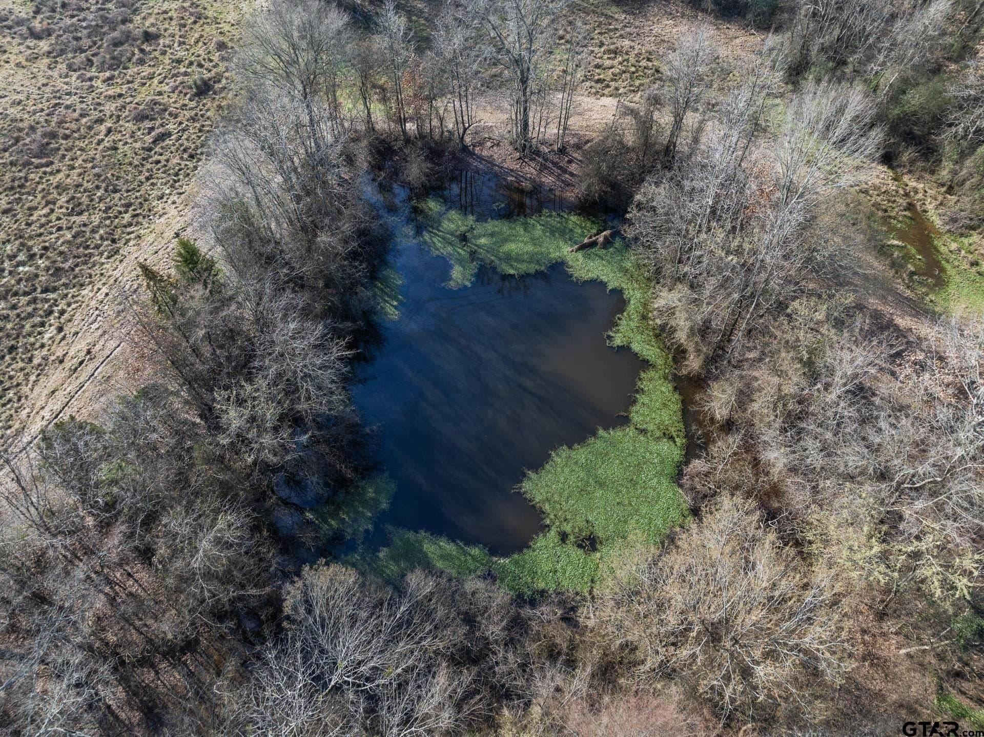 50 acres in Morris County - photo 39
