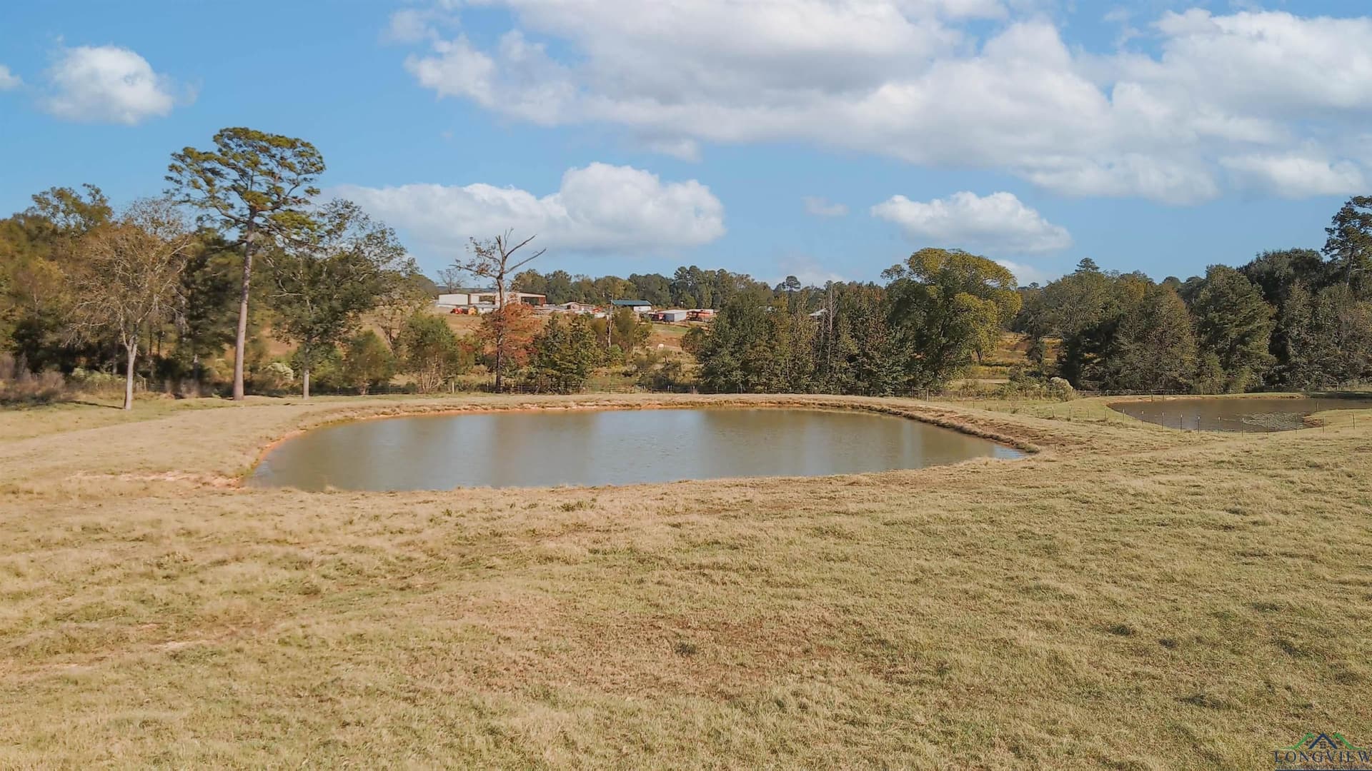 25.23 acres in Harrison County gallery image 3