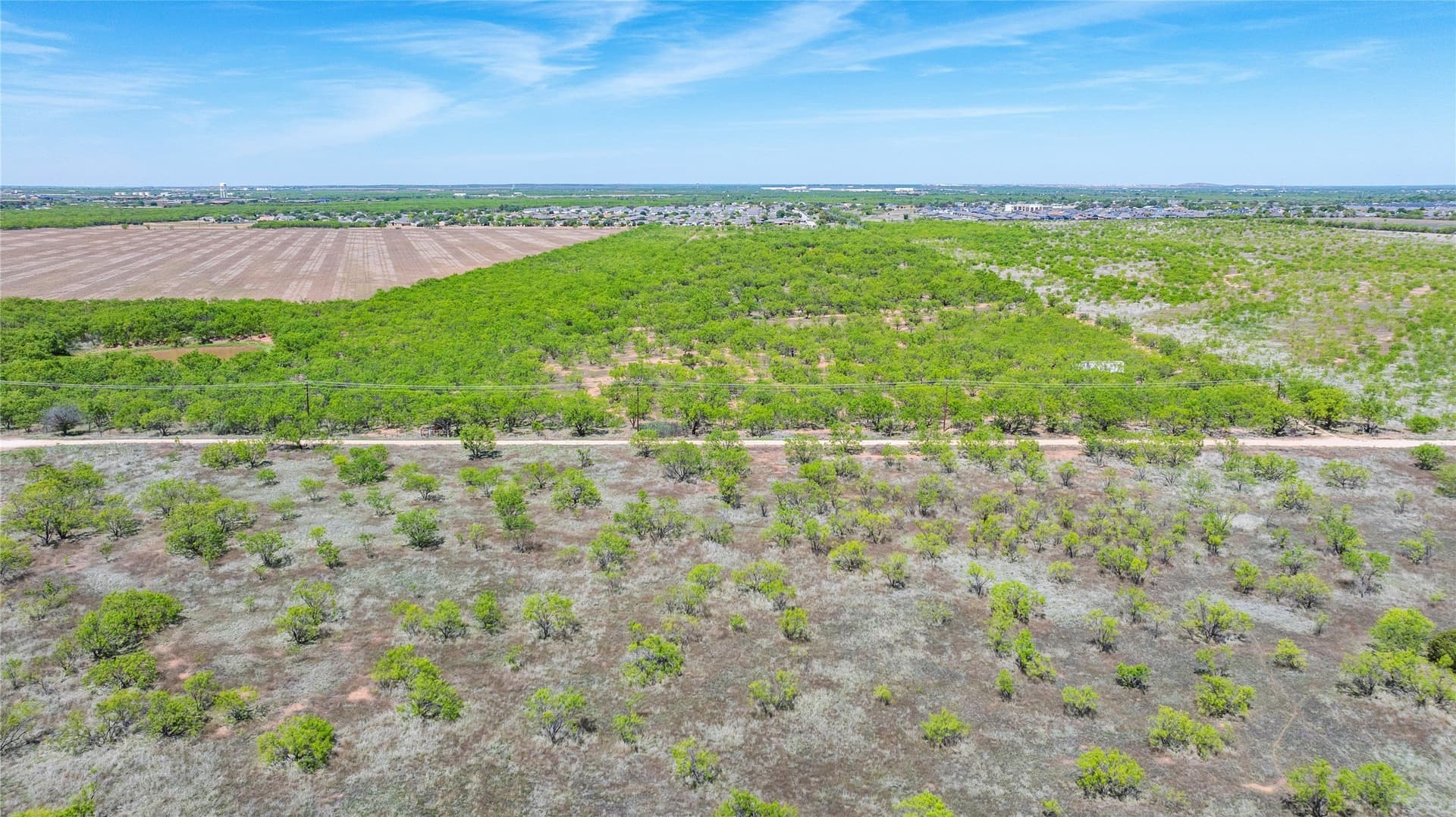 20 acres in Taylor County gallery image 4