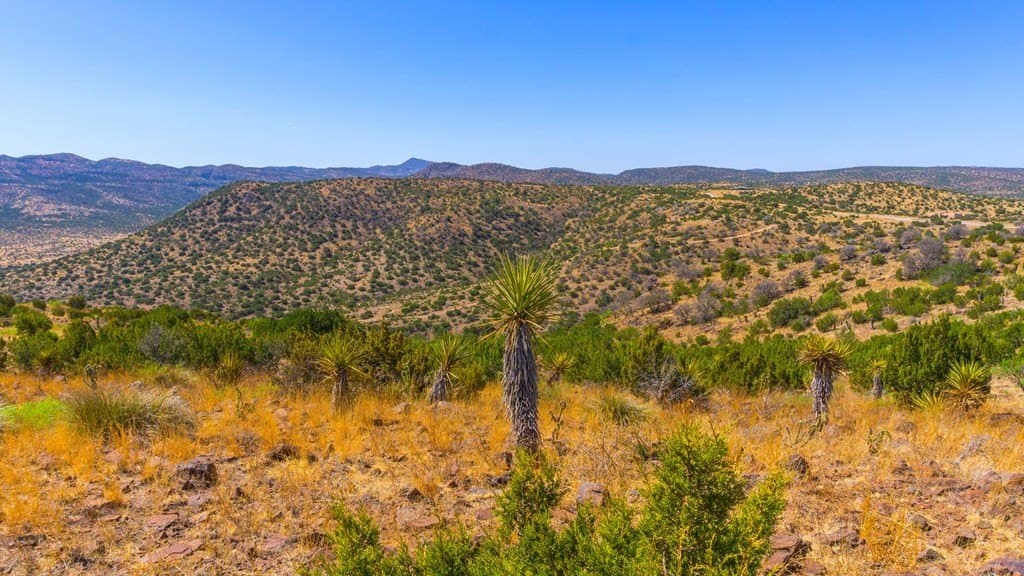 10 acres in Brewster County - photo 47