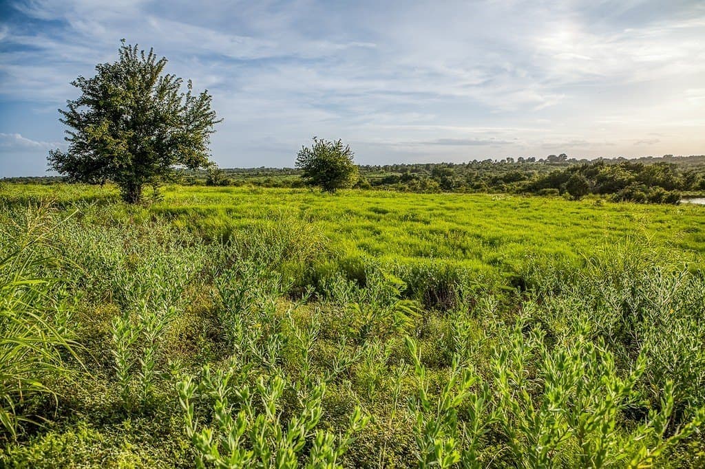 2.94 acres in Washington County - photo 7