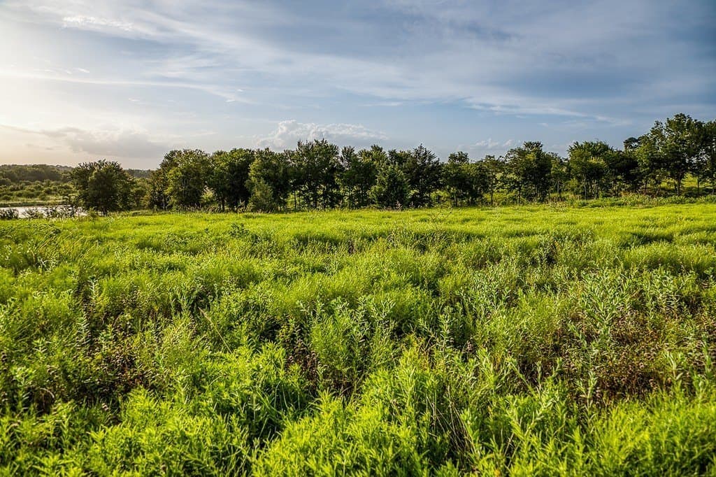 2.94 acres in Washington County - photo 5