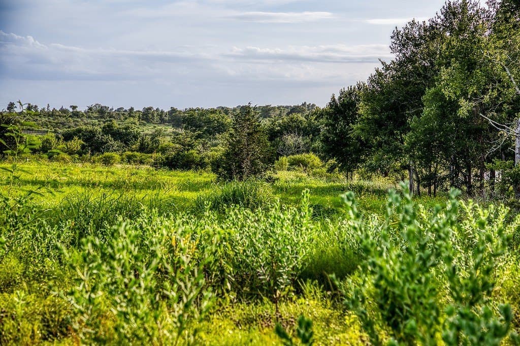 2.94 acres in Washington County - photo 10