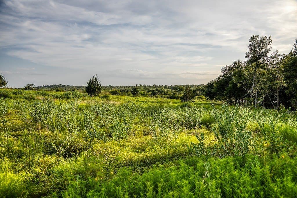 2.94 acres in Washington County - photo 12