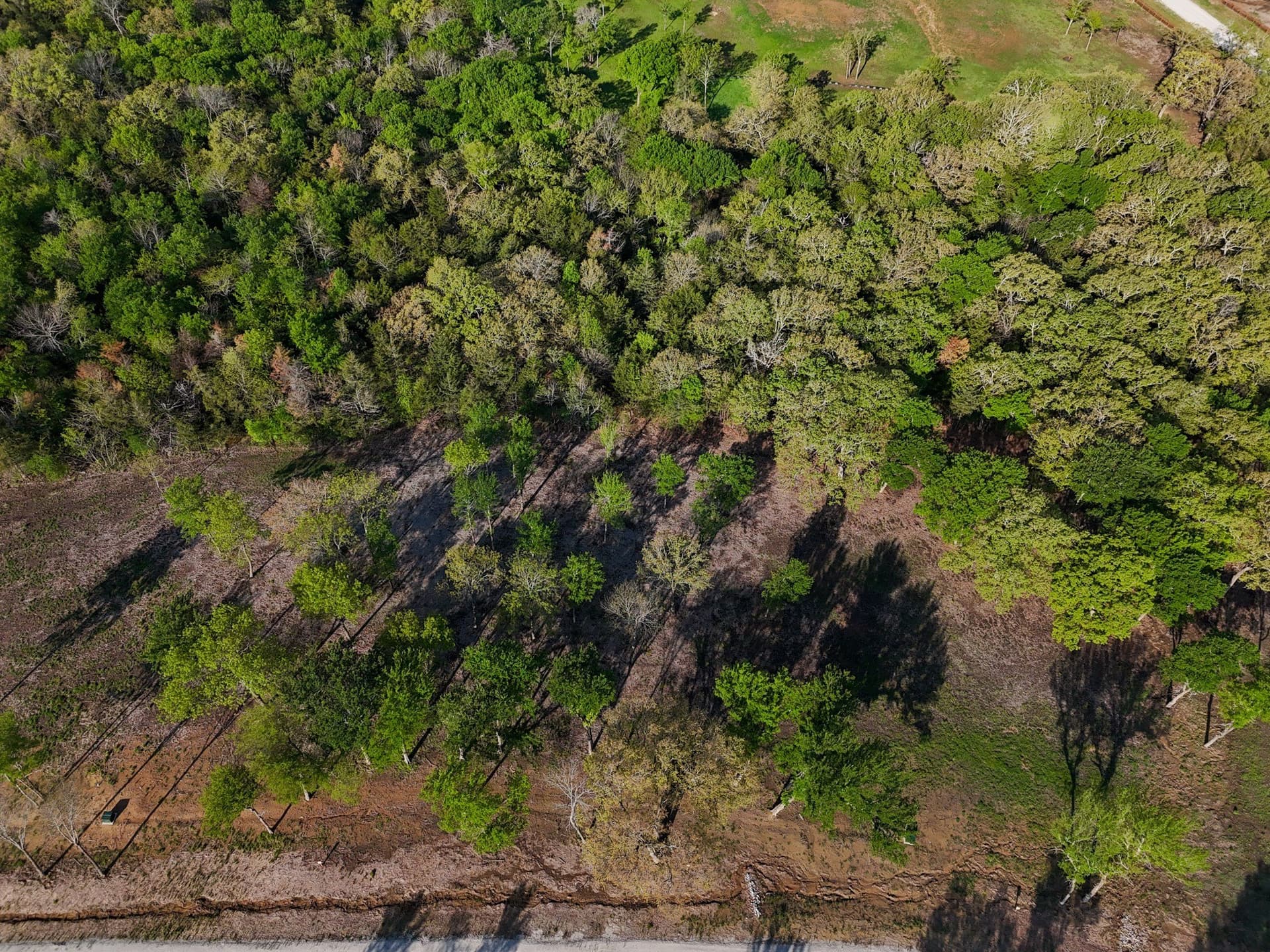 1.18 acres in Fannin County - photo 29