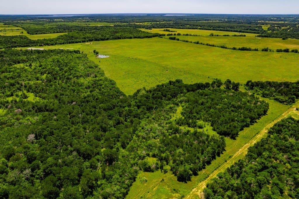 120 acres in Kaufman County gallery image 4