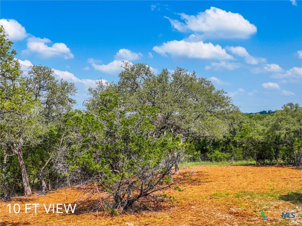 1.4 acres in Comal County gallery image 4