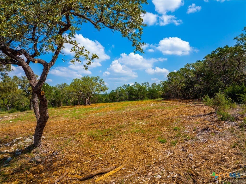 1.4 acres in Comal County gallery image 2