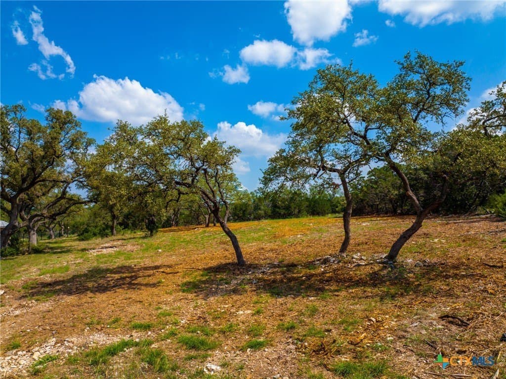 1.4 acres in Comal County gallery image 4