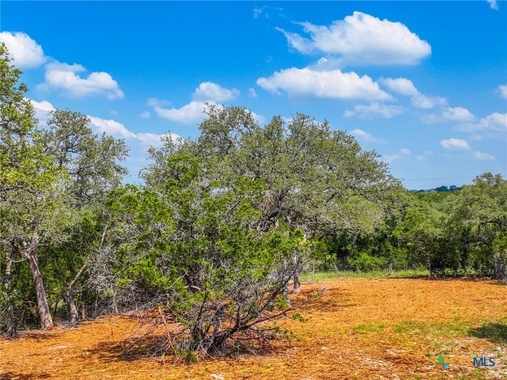 1.4 acres in Comal County gallery image 3