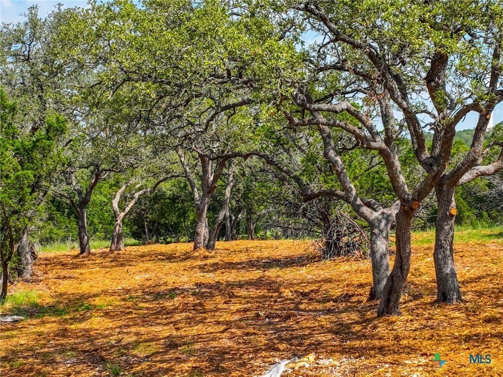 1.4 acres in Comal County - photo 22