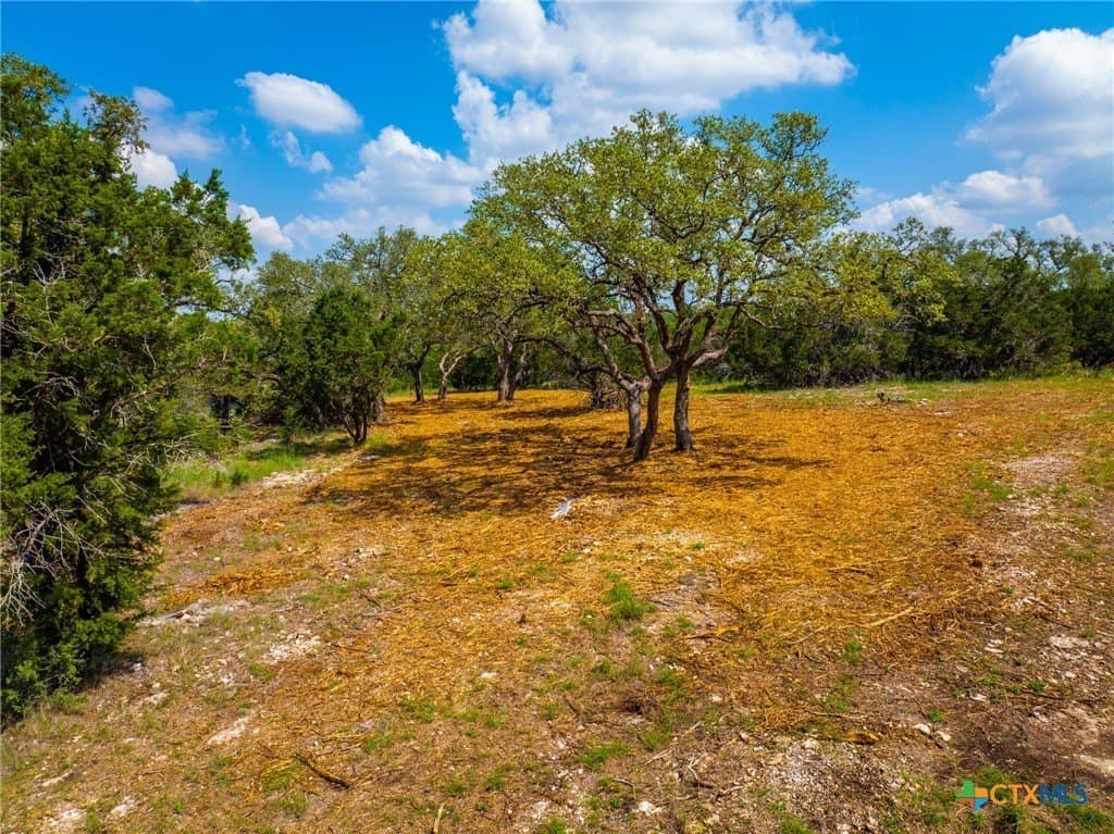1.4 acres in Comal County - photo 21