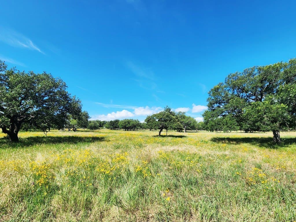 37.07 acres in San Saba County featured view