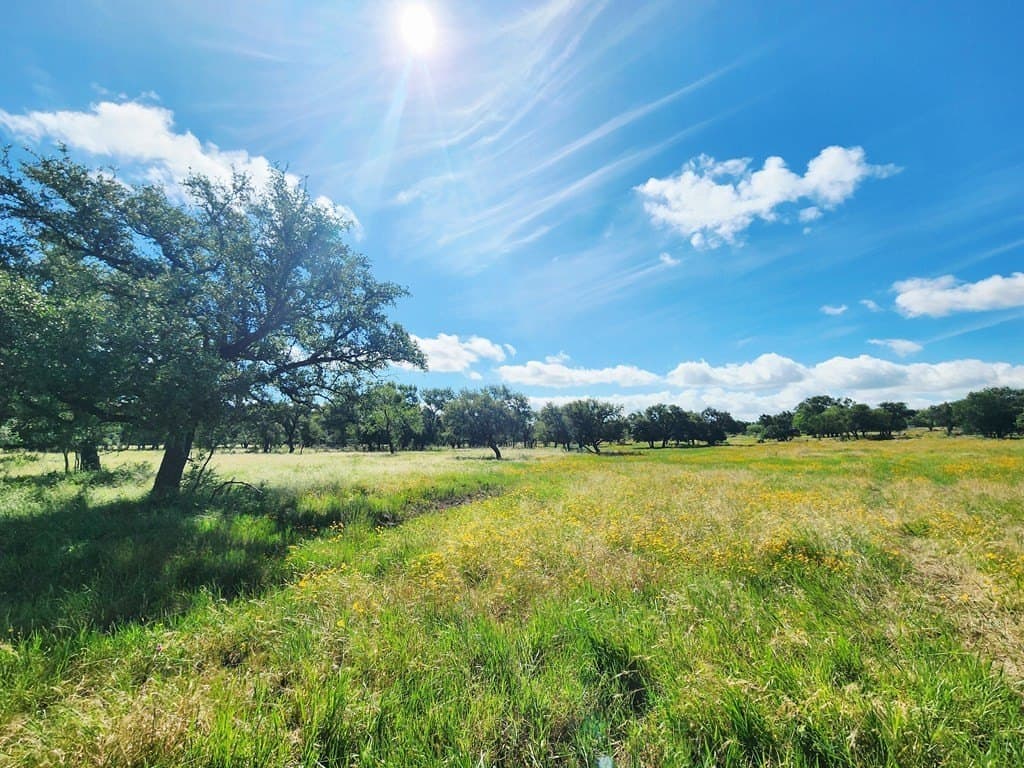 37.07 acres in San Saba County gallery image 4