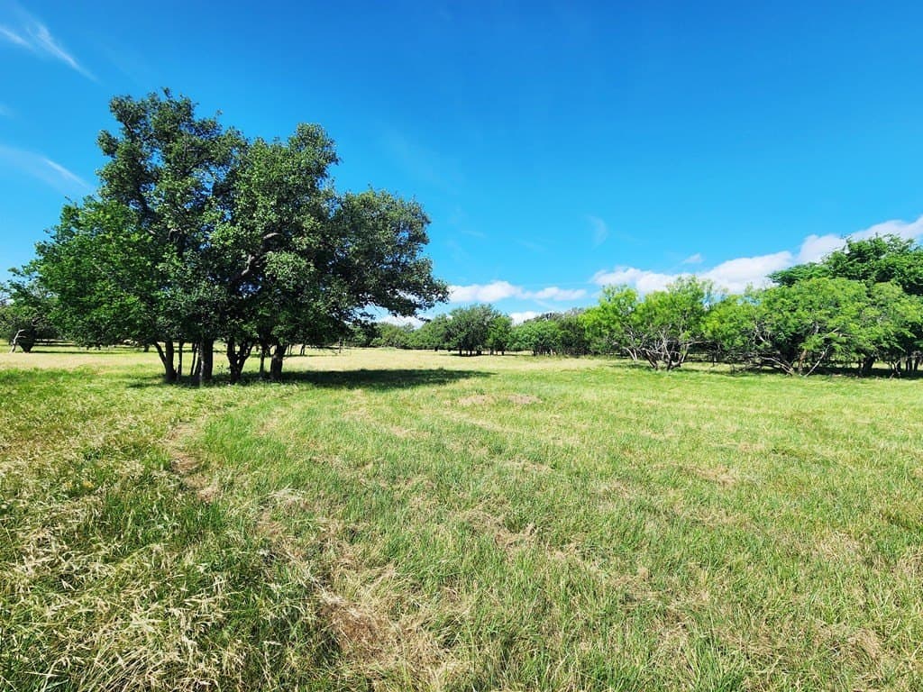37.07 acres in San Saba County gallery image 2