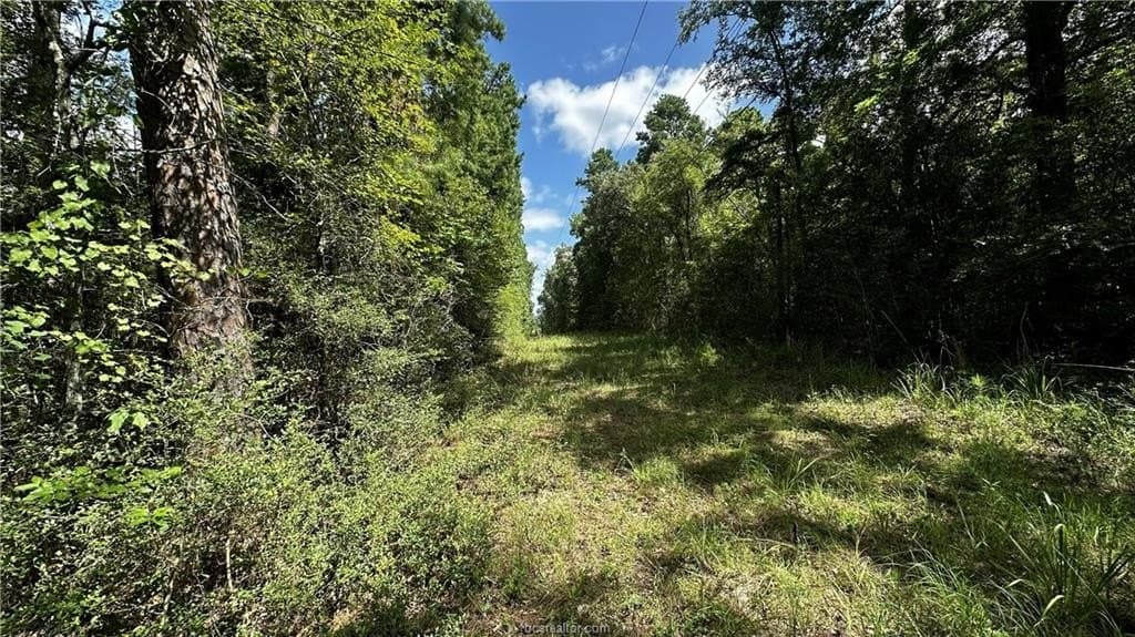 4.2 acres in Leon County - photo 17