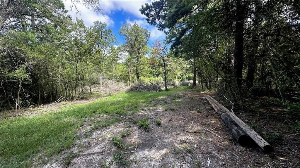 4.2 acres in Leon County - photo 8