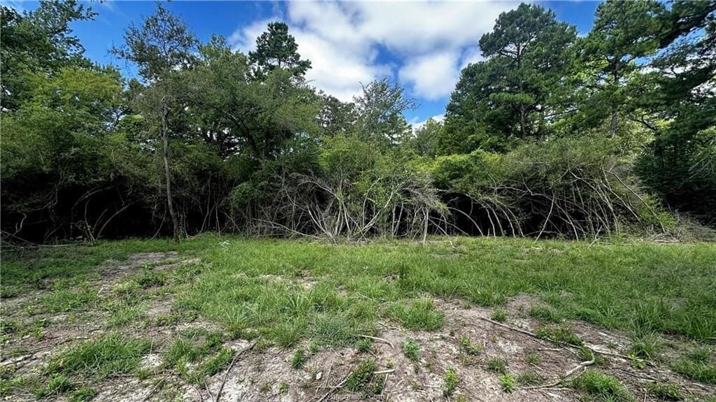 4.2 acres in Leon County - photo 6