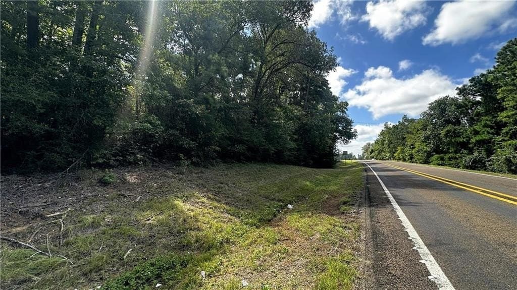4.2 acres in Leon County - photo 16