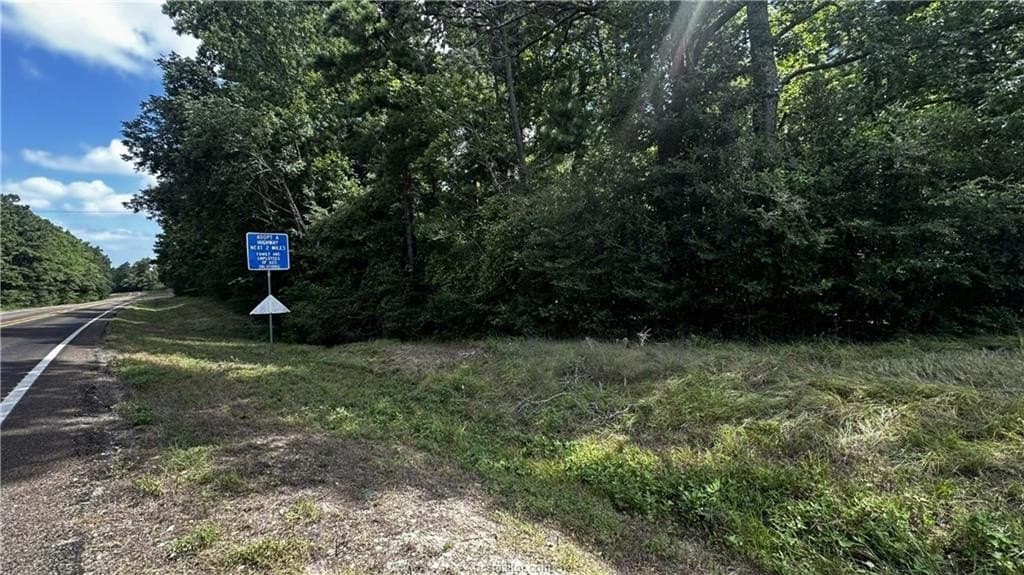 4.2 acres in Leon County - photo 12
