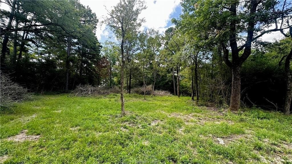 4.2 acres in Leon County - photo 7