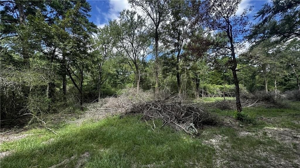 4.2 acres in Leon County gallery image 4