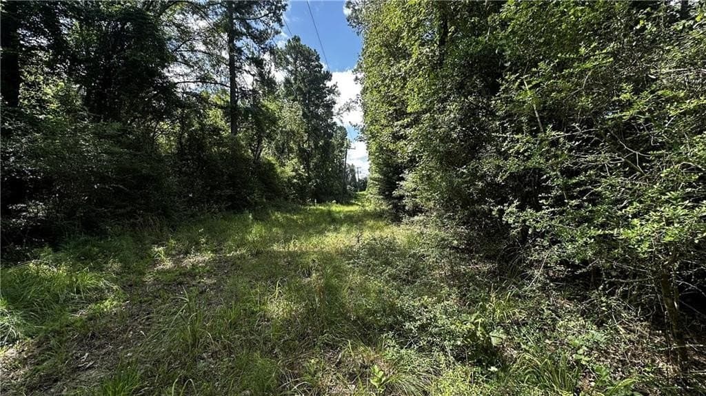 4.2 acres in Leon County - photo 18