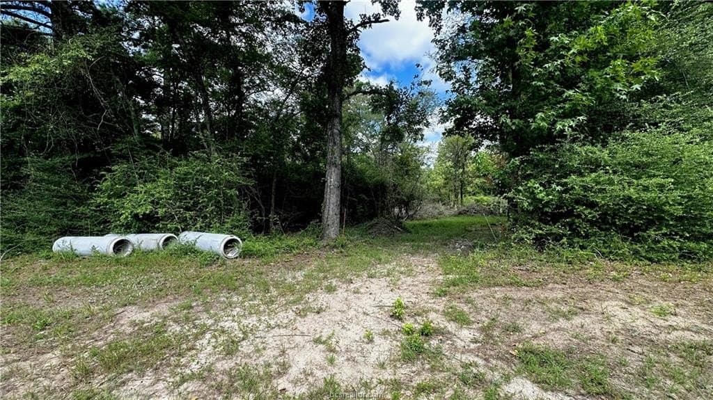 4.2 acres in Leon County gallery image 3