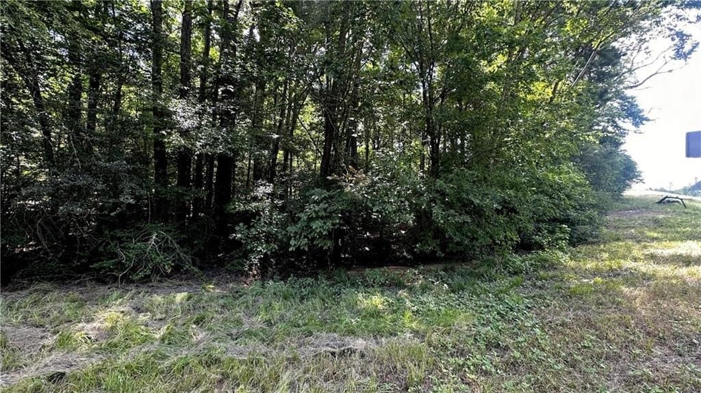 4.2 acres in Leon County - photo 14