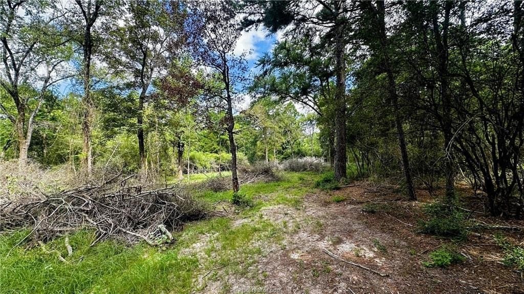 4.2 acres in Leon County featured view