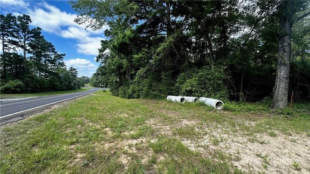4.2 acres in Leon County gallery image 2
