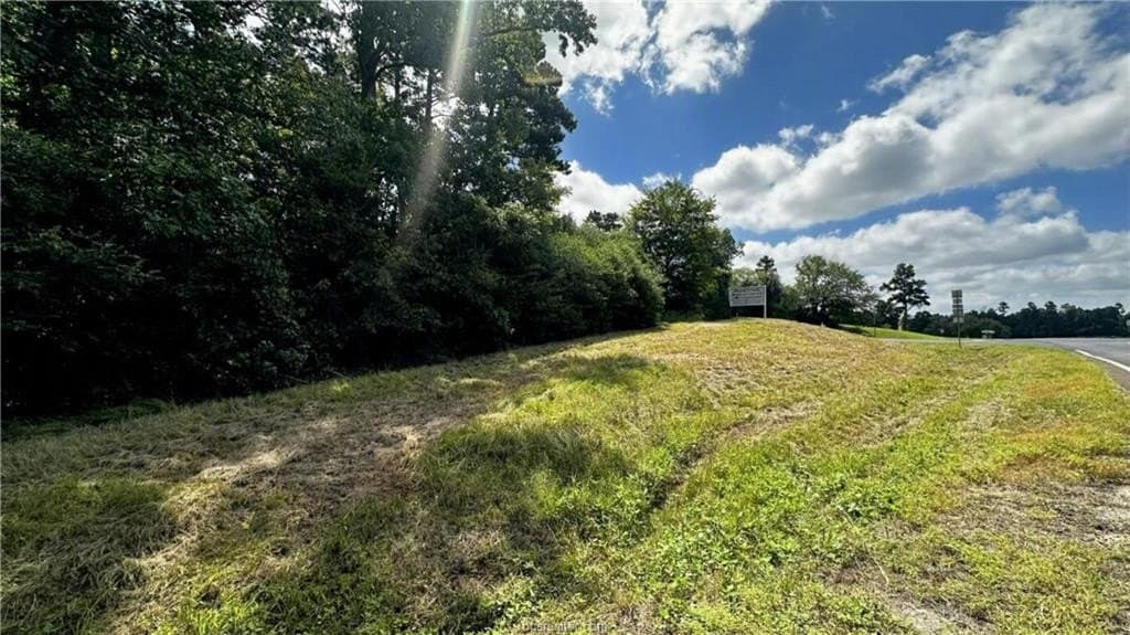 4.2 acres in Leon County - photo 13