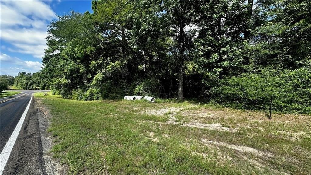 4.2 acres in Leon County - photo 9