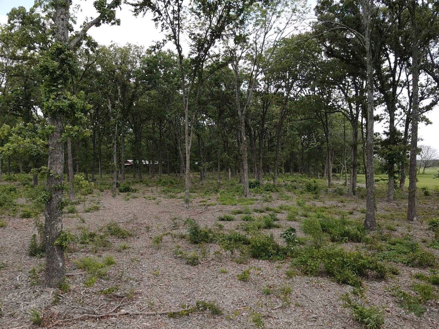 2.76 acres in Lamar County - photo 7