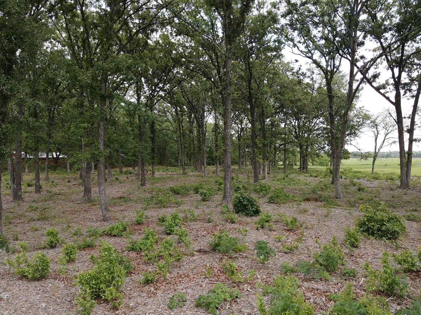 2.76 acres in Lamar County - photo 6
