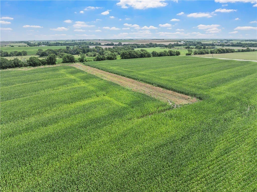 126 acres in McLennan County - photo 9