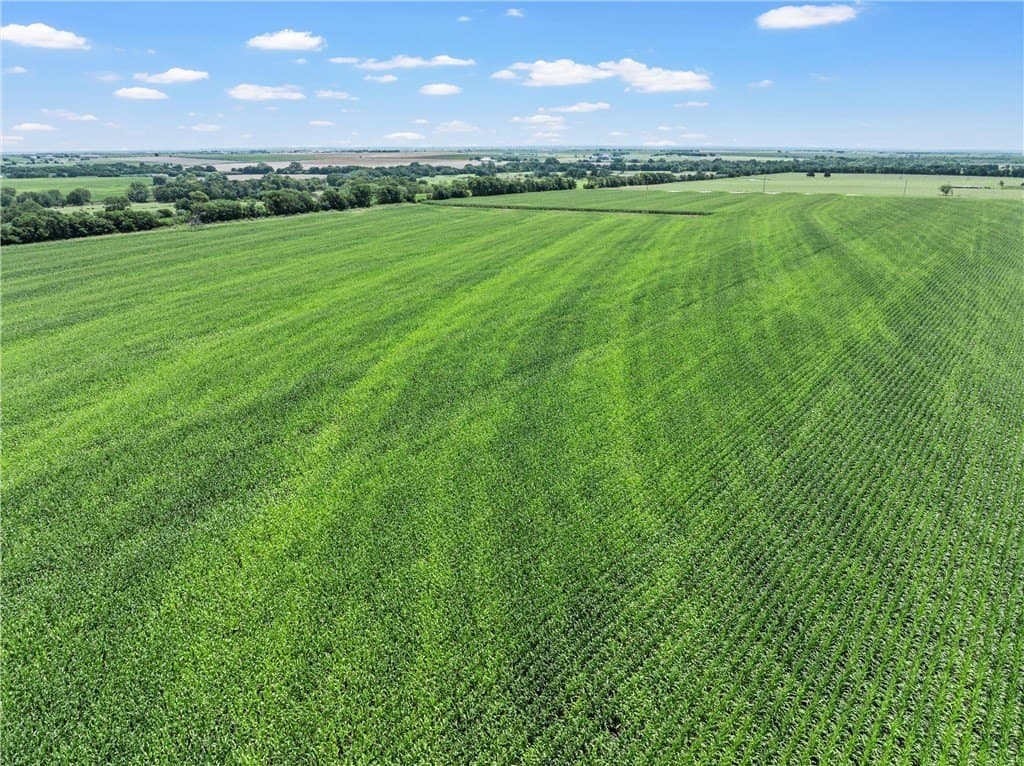 126 acres in McLennan County - photo 11