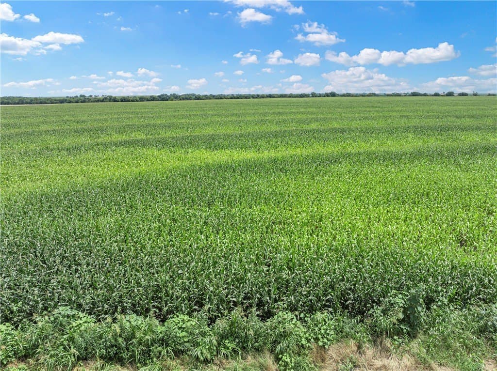 126 acres in McLennan County - photo 12