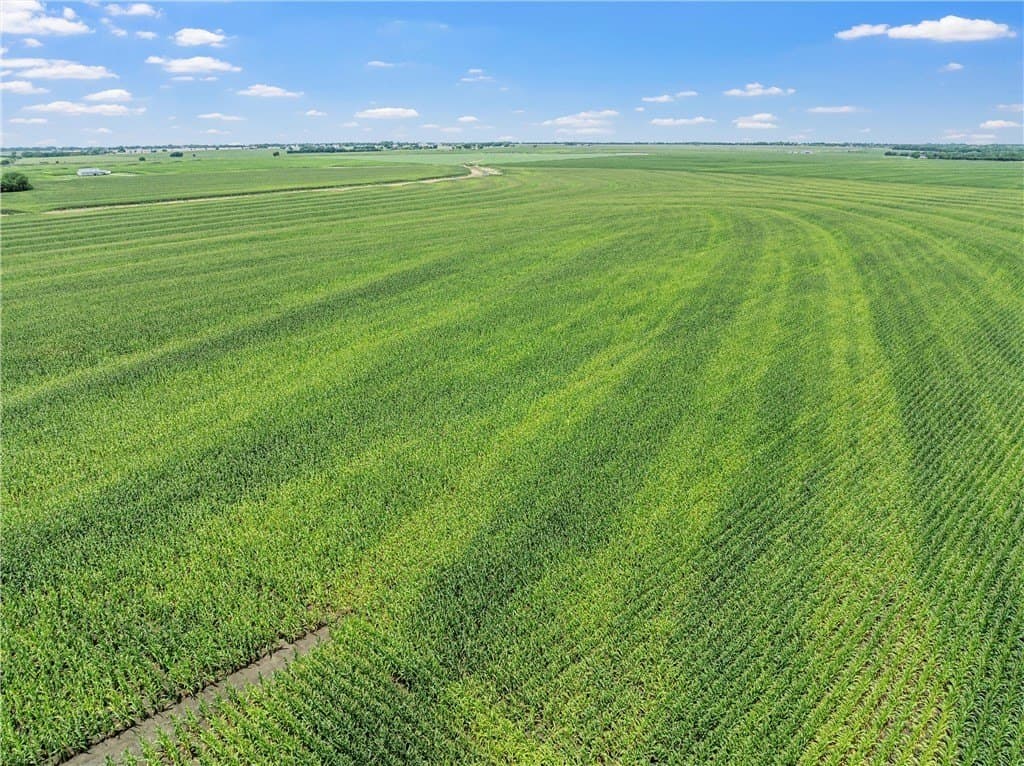 126 acres in McLennan County - photo 8