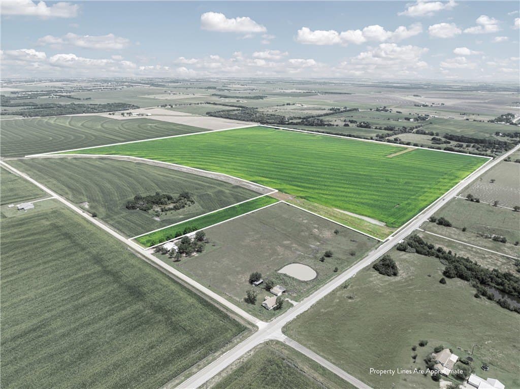 126 acres in McLennan County gallery image 3