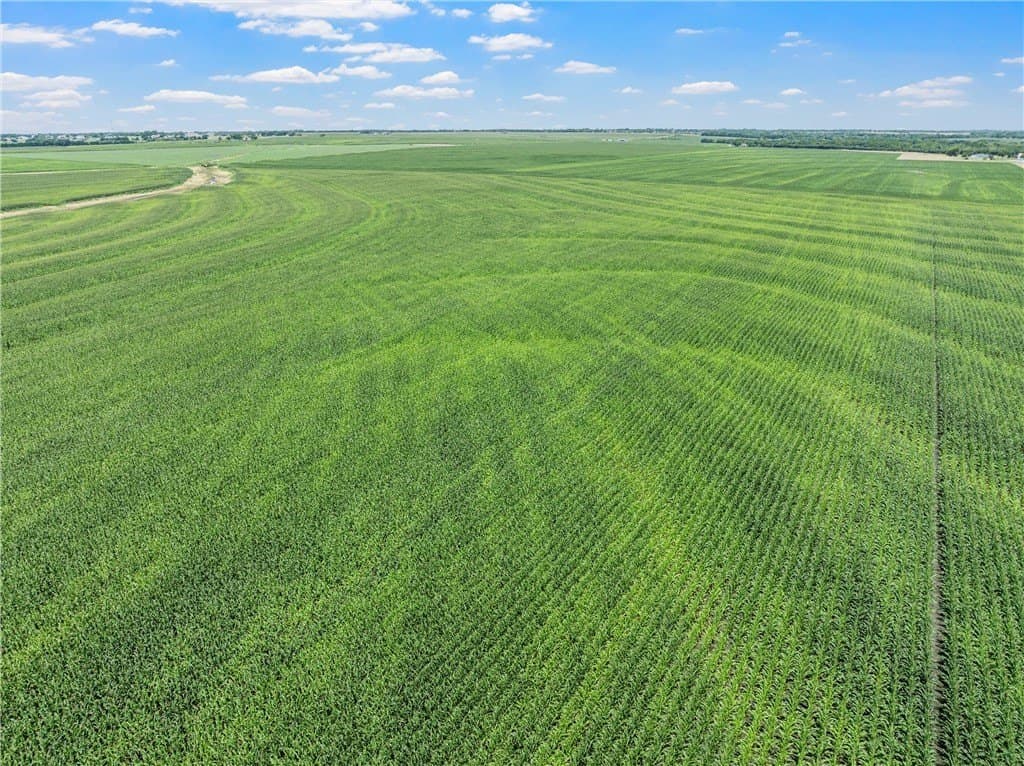 126 acres in McLennan County - photo 10