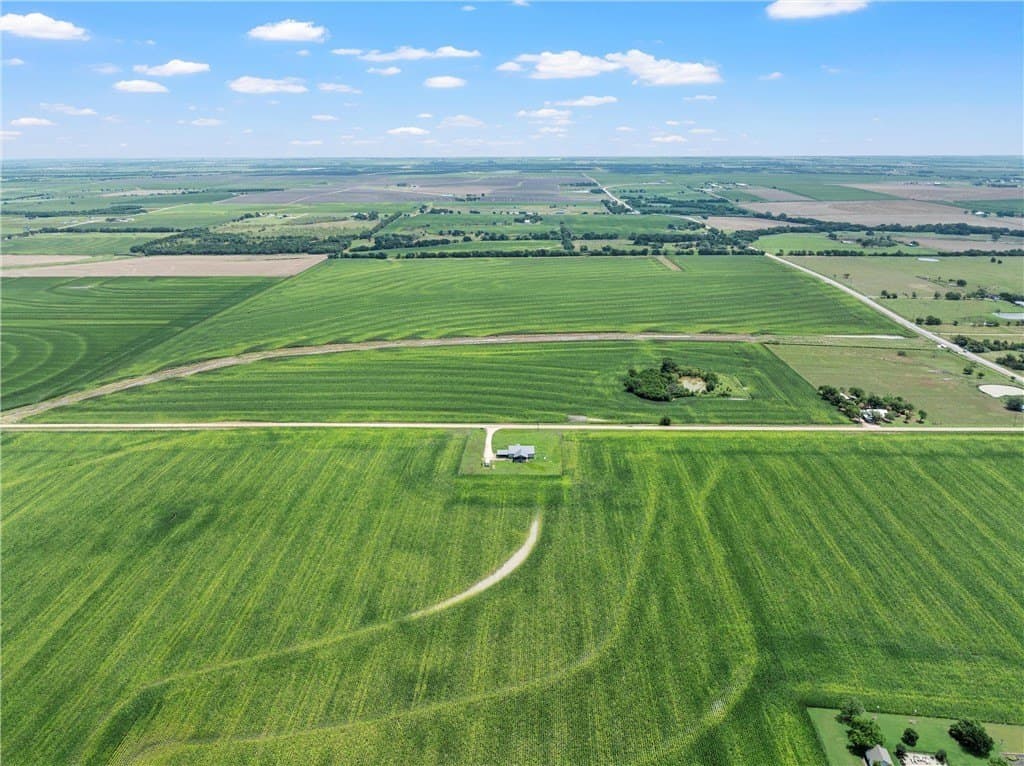 126 acres in McLennan County gallery image 4