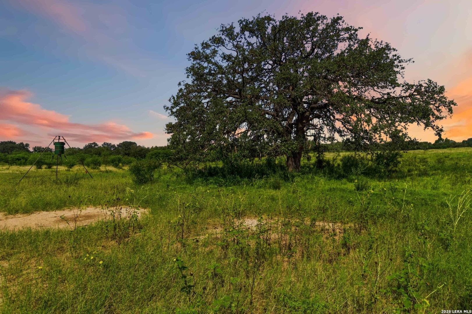 29.06 acres in Uvalde County gallery image 3