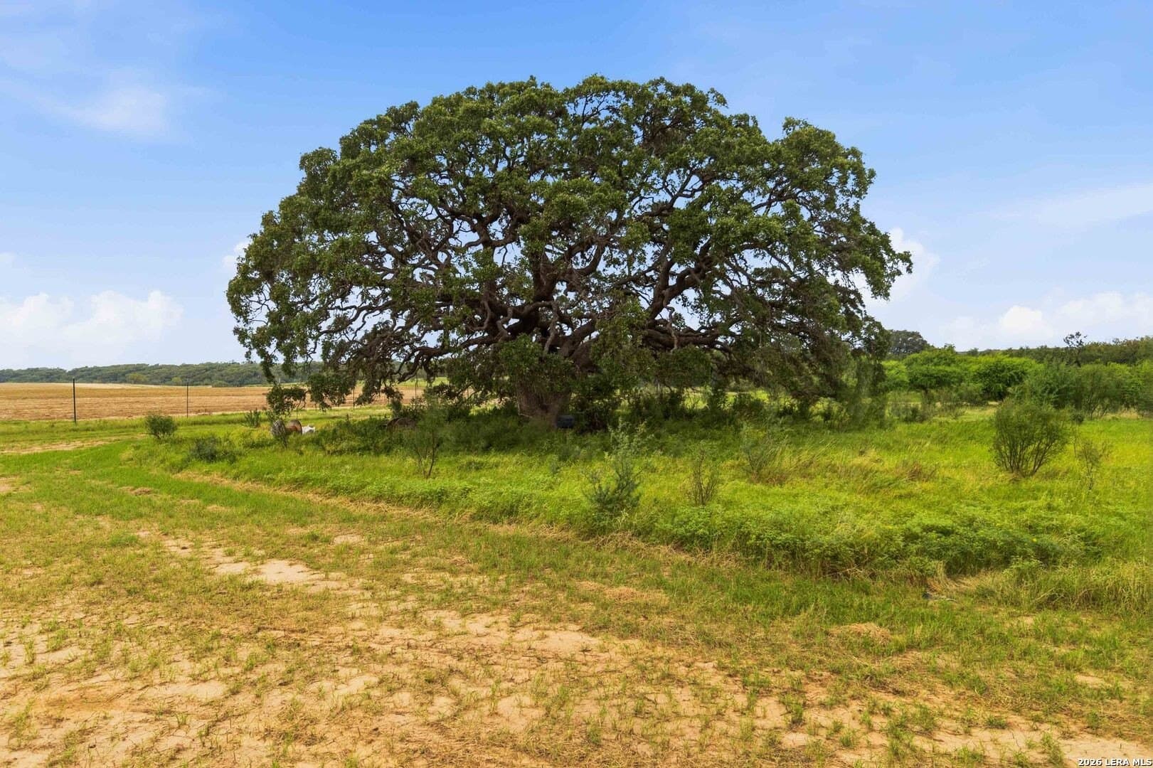 28.71 acres in Uvalde County - photo 36