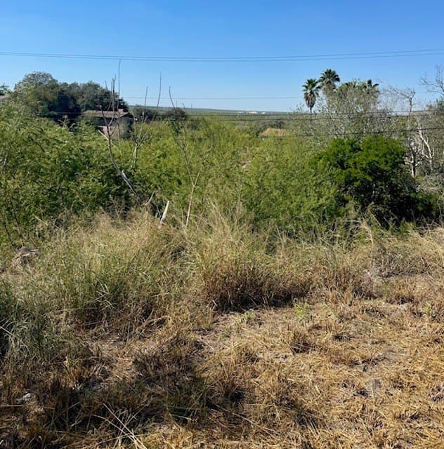 0.26 acres in Nueces County gallery image 3