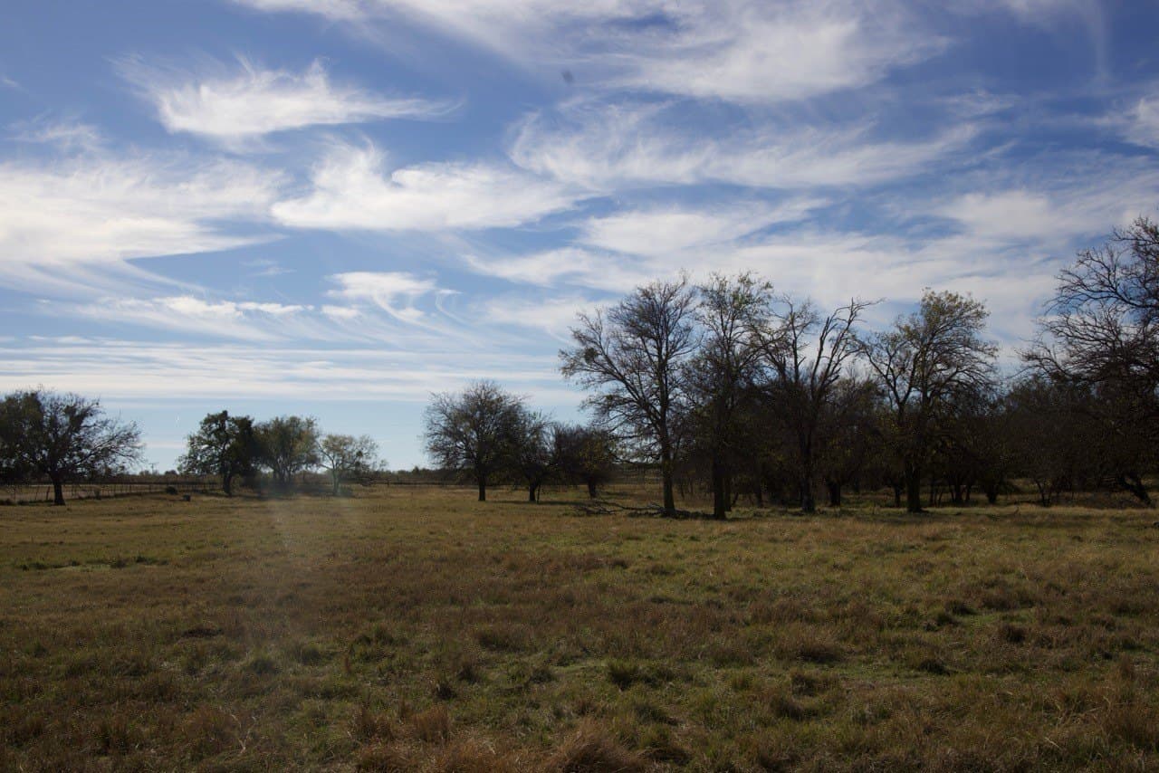 87 acres in Young County - photo 21