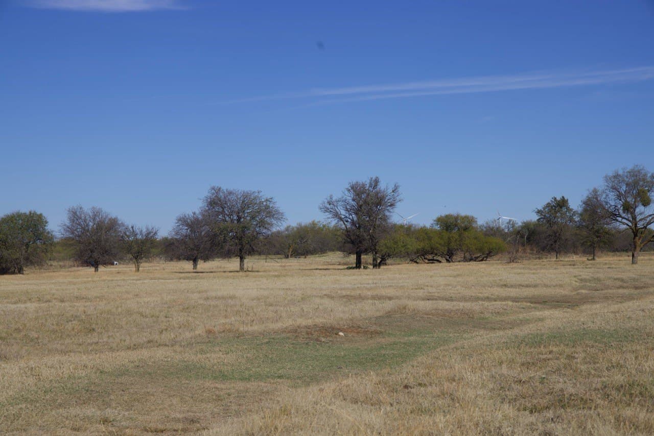 87 acres in Young County - photo 29