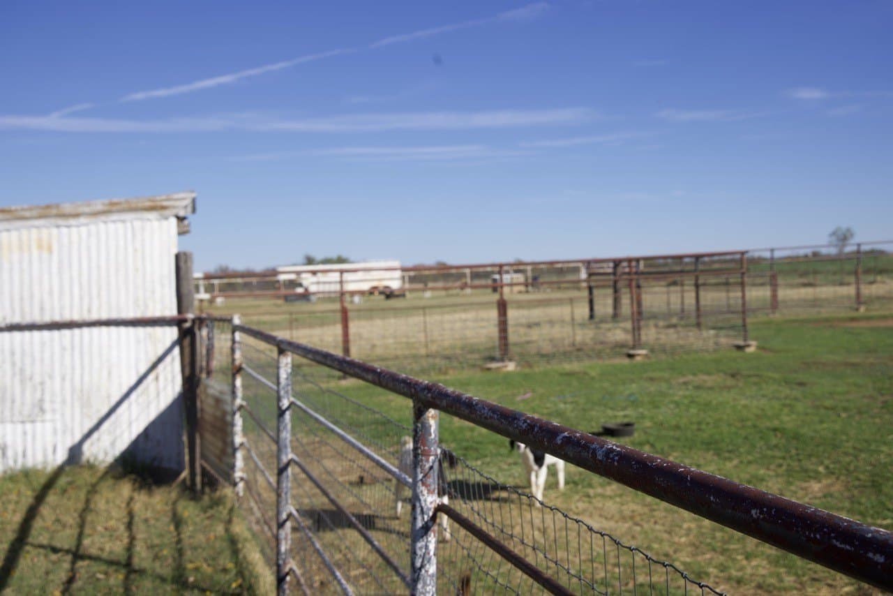 87 acres in Young County - photo 12